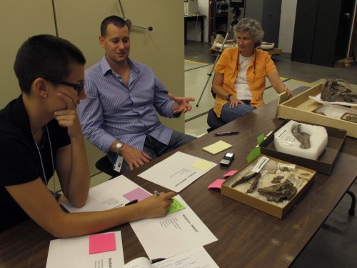 Contextual inquiry with the museum scientists.